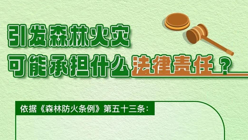 违规用火引发森林火灾可能承担什么法律责任