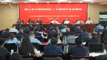 自治区应急管理厅党委理论学习中心组专题学习党的二十届四中全会精神